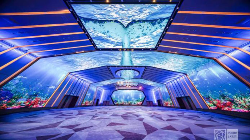 首页- 人生就是博中国官网入口